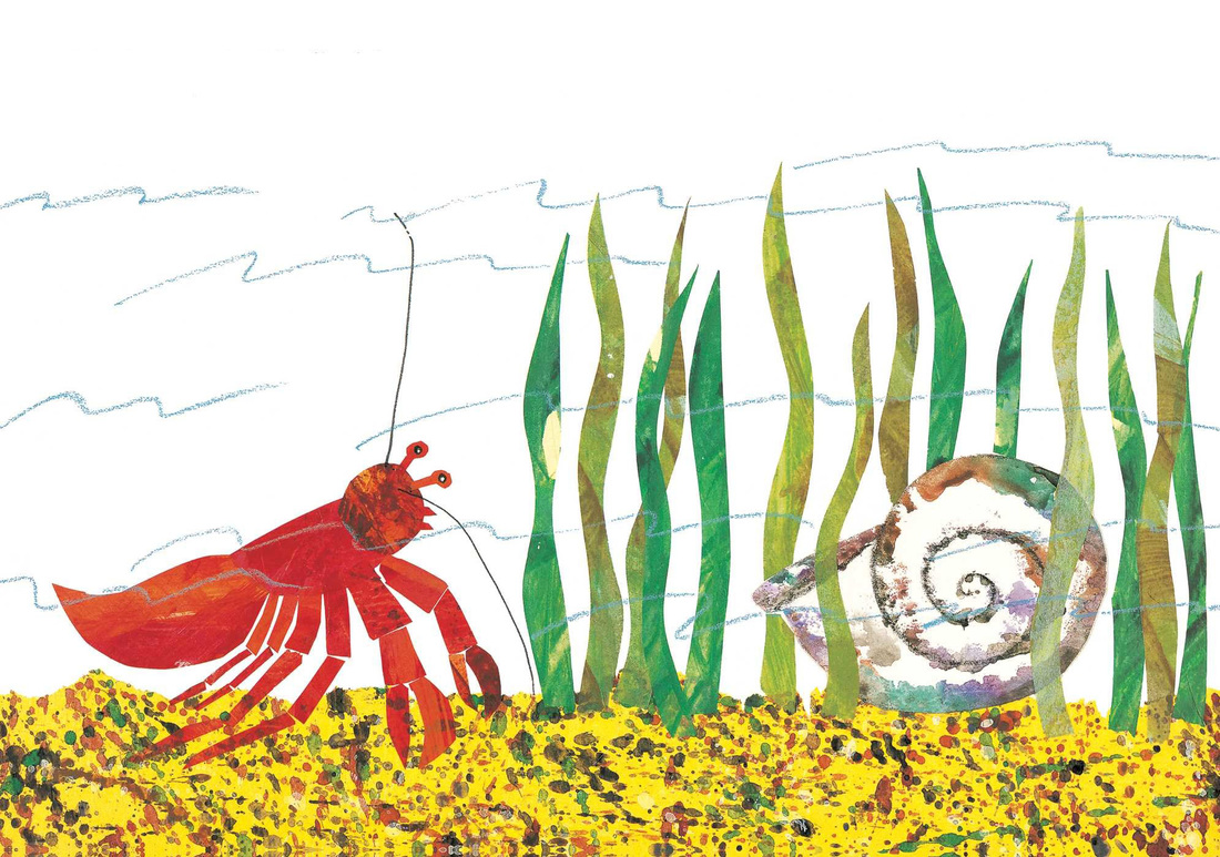a-house-for-hermit-crab-child-books